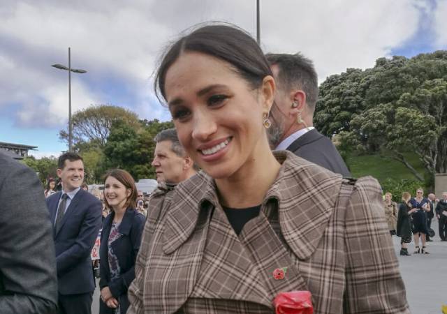 Is Meghan Markle the New Rosa Parks?